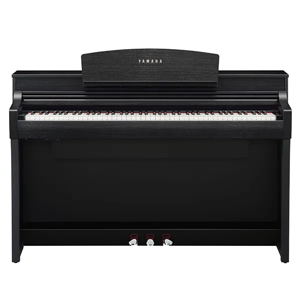Music City – Tổng Kho Piano, Guitar, Organ | Dịch Vụ Giáo Dục Âm Nhạc