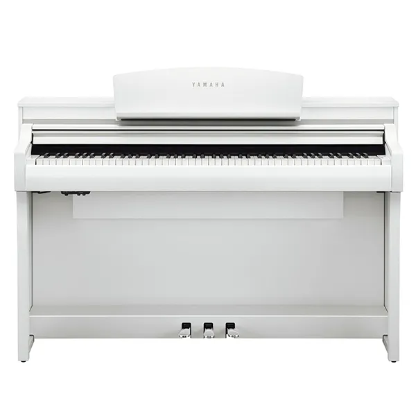 Music City – Tổng Kho Piano, Guitar, Organ | Dịch Vụ Giáo Dục Âm Nhạc