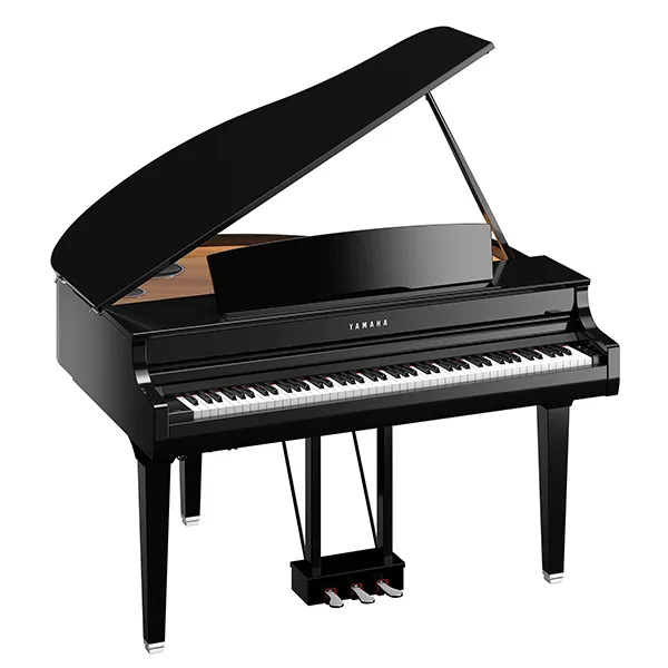 Music City – Tổng Kho Piano, Guitar, Organ | Dịch Vụ Giáo Dục Âm Nhạc