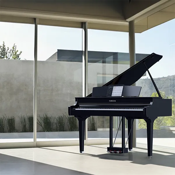 Music City – Tổng Kho Piano, Guitar, Organ | Dịch Vụ Giáo Dục Âm Nhạc