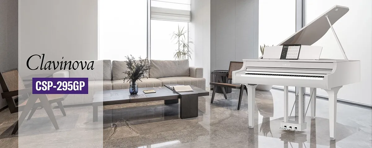 Music City – Tổng Kho Piano, Guitar, Organ | Dịch Vụ Giáo Dục Âm Nhạc