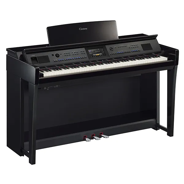 Music City – Tổng Kho Piano, Guitar, Organ | Dịch Vụ Giáo Dục Âm Nhạc