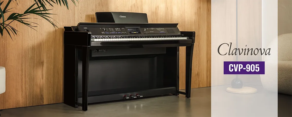 Music City – Tổng Kho Piano, Guitar, Organ | Dịch Vụ Giáo Dục Âm Nhạc