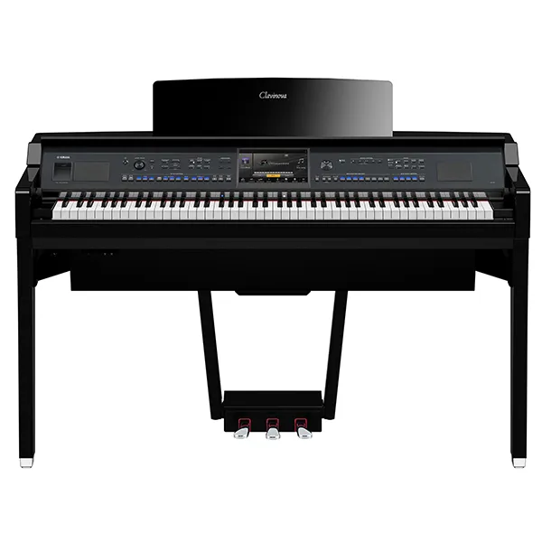 Music City – Tổng Kho Piano, Guitar, Organ | Dịch Vụ Giáo Dục Âm Nhạc