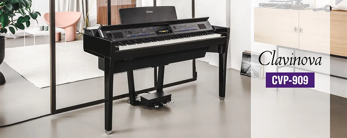 Music City – Tổng Kho Piano, Guitar, Organ | Dịch Vụ Giáo Dục Âm Nhạc
