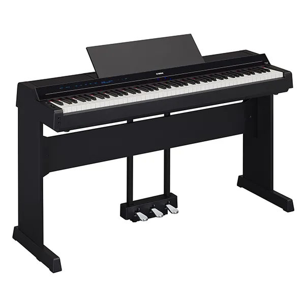 Music City – Tổng Kho Piano, Guitar, Organ | Dịch Vụ Giáo Dục Âm Nhạc