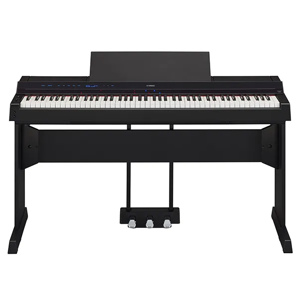 Music City – Tổng Kho Piano, Guitar, Organ | Dịch Vụ Giáo Dục Âm Nhạc