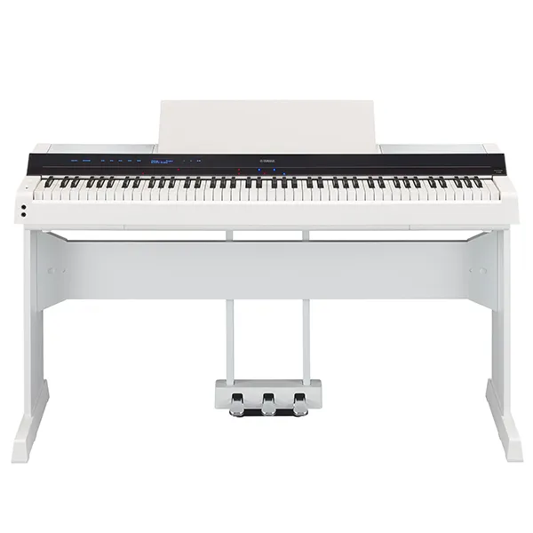 Music City – Tổng Kho Piano, Guitar, Organ | Dịch Vụ Giáo Dục Âm Nhạc