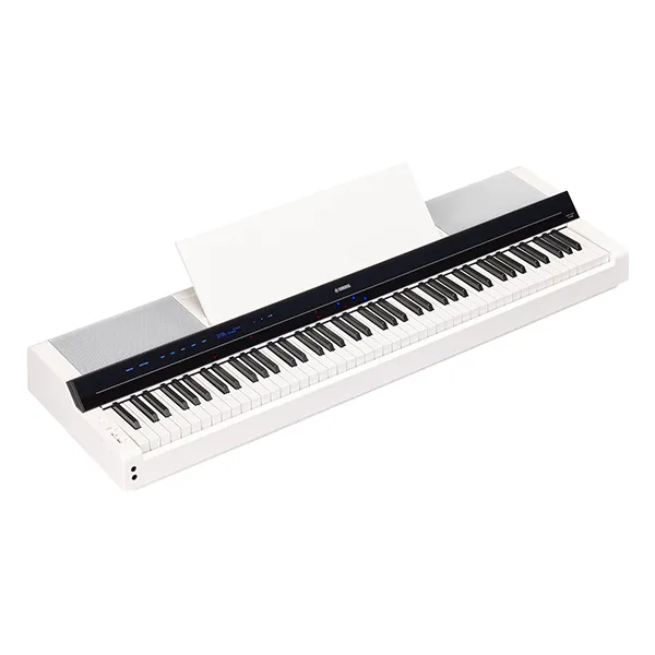 Music City – Tổng Kho Piano, Guitar, Organ | Dịch Vụ Giáo Dục Âm Nhạc
