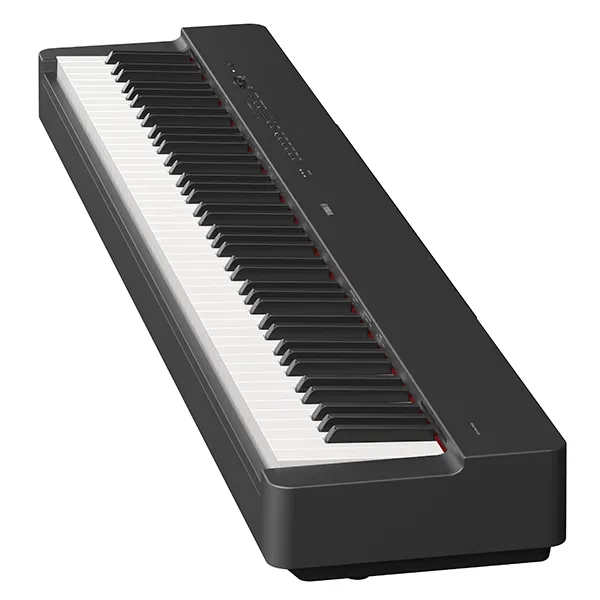 Music City – Tổng Kho Piano, Guitar, Organ | Dịch Vụ Giáo Dục Âm Nhạc