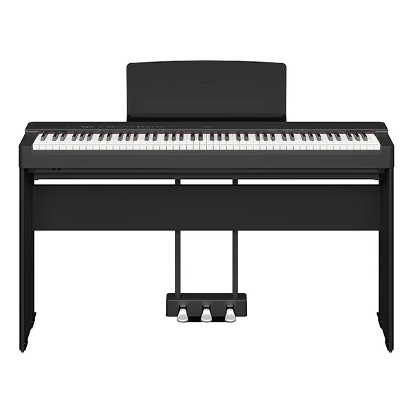 Music City – Tổng Kho Piano, Guitar, Organ | Dịch Vụ Giáo Dục Âm Nhạc