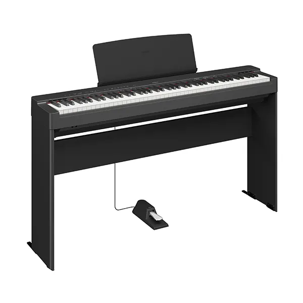 Music City – Tổng Kho Piano, Guitar, Organ | Dịch Vụ Giáo Dục Âm Nhạc
