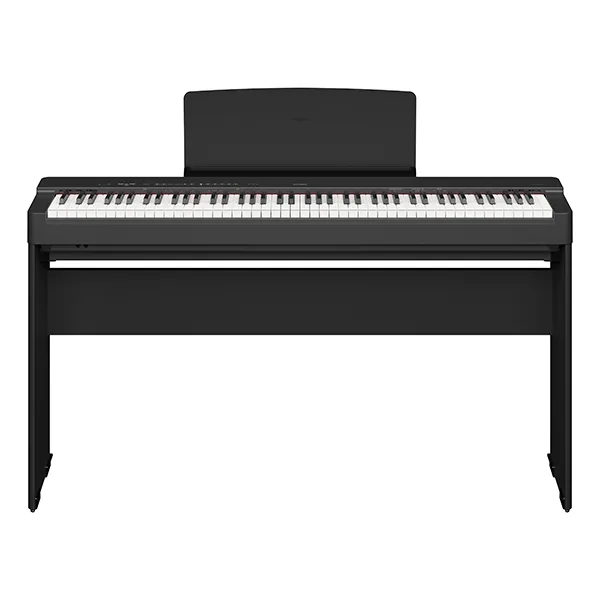 Music City – Tổng Kho Piano, Guitar, Organ | Dịch Vụ Giáo Dục Âm Nhạc