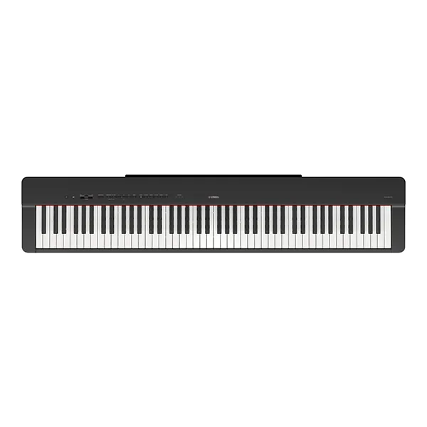 Music City – Tổng Kho Piano, Guitar, Organ | Dịch Vụ Giáo Dục Âm Nhạc