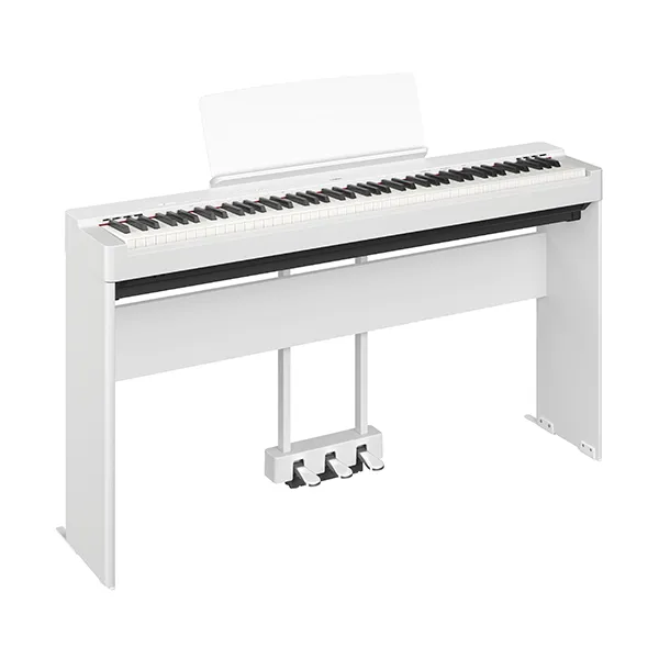 Music City – Tổng Kho Piano, Guitar, Organ | Dịch Vụ Giáo Dục Âm Nhạc