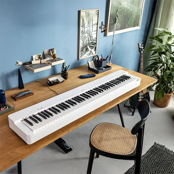 Music City – Tổng Kho Piano, Guitar, Organ | Dịch Vụ Giáo Dục Âm Nhạc