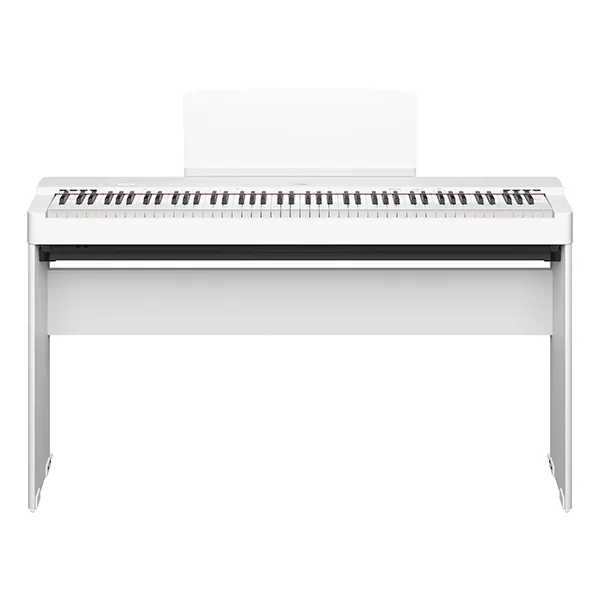 Music City – Tổng Kho Piano, Guitar, Organ | Dịch Vụ Giáo Dục Âm Nhạc