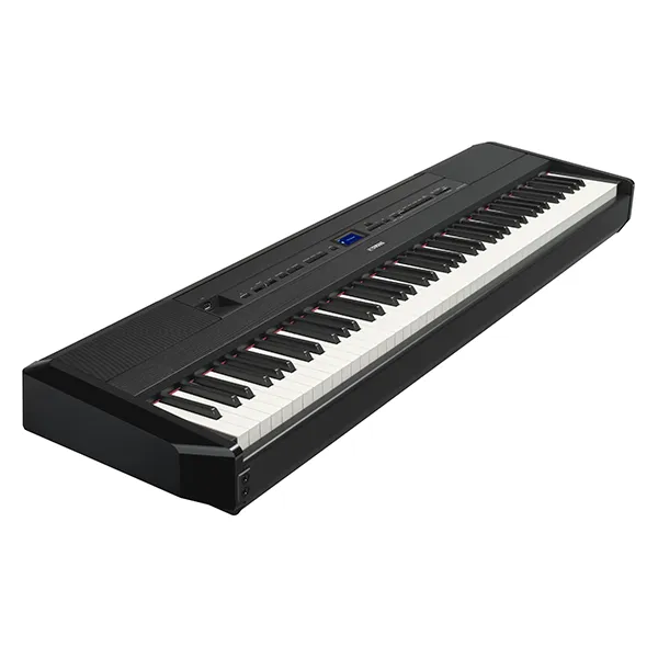 Music City – Tổng Kho Piano, Guitar, Organ | Dịch Vụ Giáo Dục Âm Nhạc