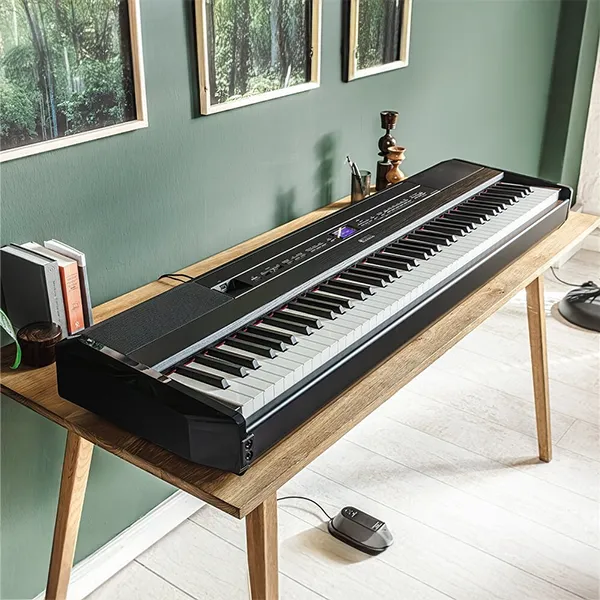 Music City – Tổng Kho Piano, Guitar, Organ | Dịch Vụ Giáo Dục Âm Nhạc
