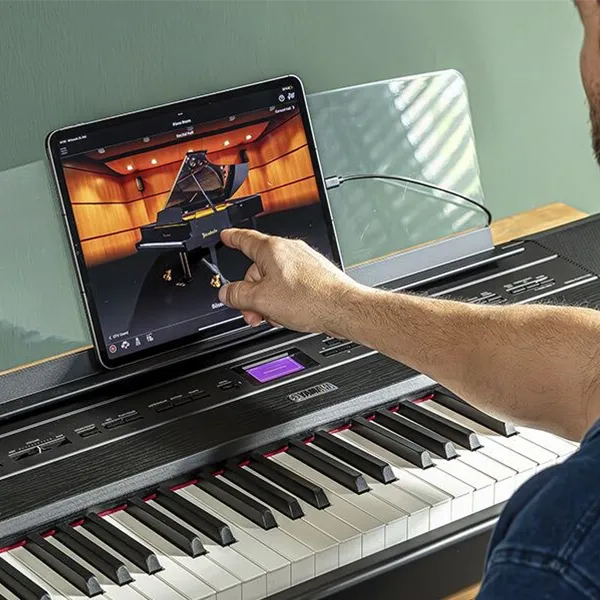 Music City – Tổng Kho Piano, Guitar, Organ | Dịch Vụ Giáo Dục Âm Nhạc