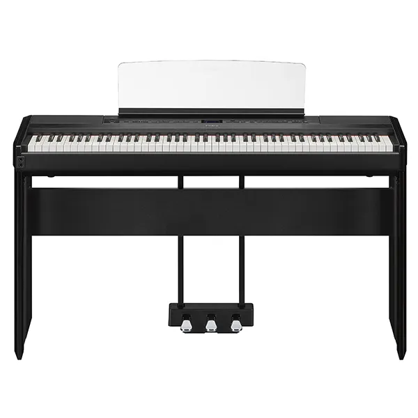 Music City – Tổng Kho Piano, Guitar, Organ | Dịch Vụ Giáo Dục Âm Nhạc