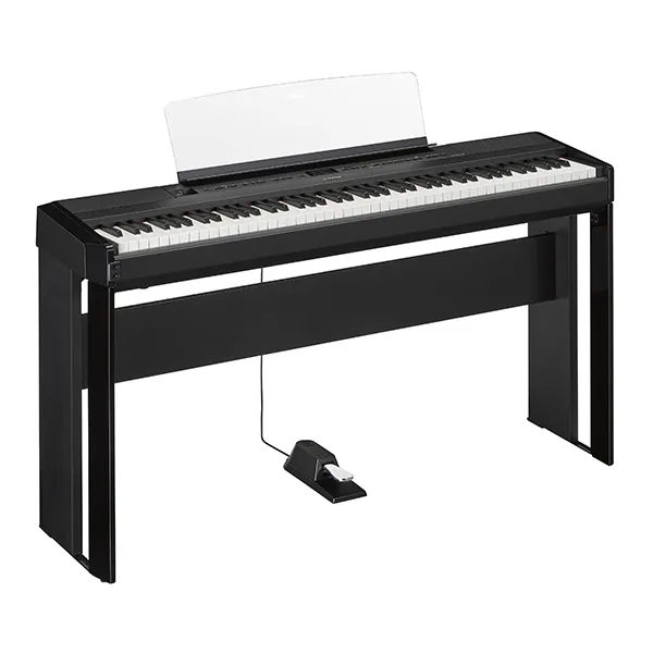 Music City – Tổng Kho Piano, Guitar, Organ | Dịch Vụ Giáo Dục Âm Nhạc