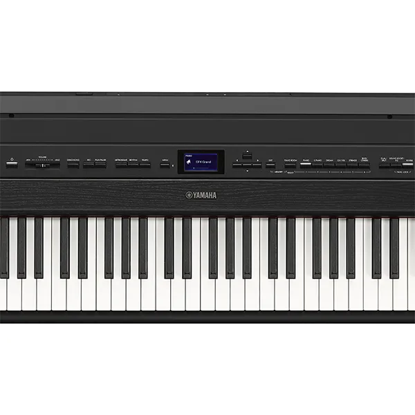 Music City – Tổng Kho Piano, Guitar, Organ | Dịch Vụ Giáo Dục Âm Nhạc