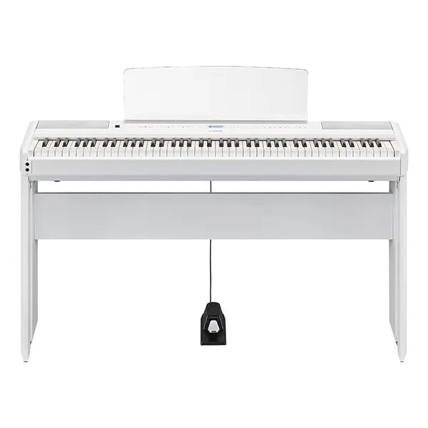 Music City – Tổng Kho Piano, Guitar, Organ | Dịch Vụ Giáo Dục Âm Nhạc