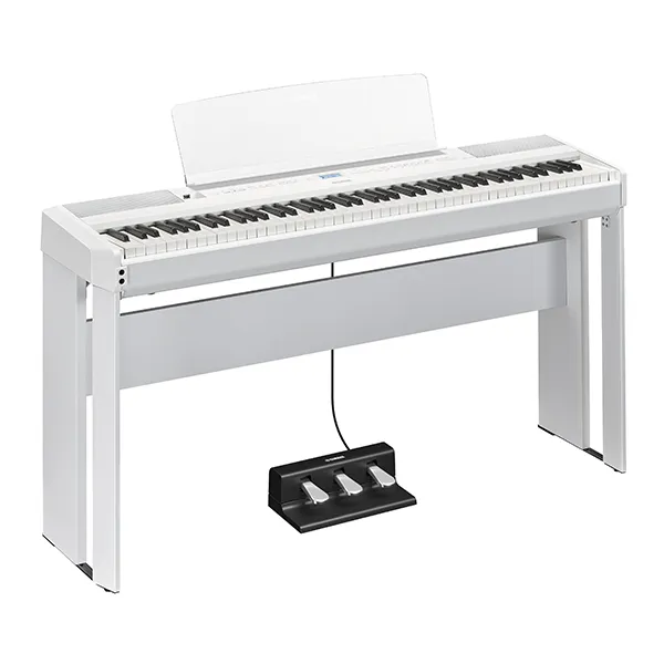 Music City – Tổng Kho Piano, Guitar, Organ | Dịch Vụ Giáo Dục Âm Nhạc