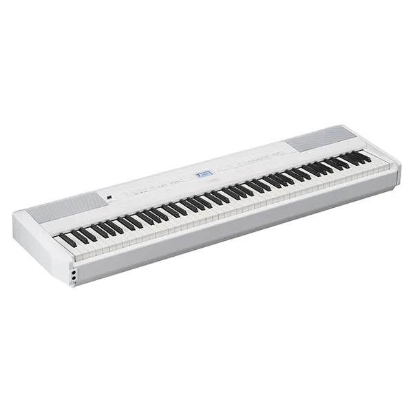 Music City – Tổng Kho Piano, Guitar, Organ | Dịch Vụ Giáo Dục Âm Nhạc