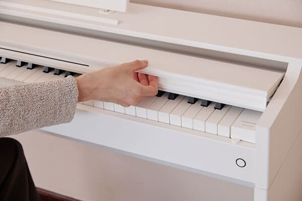 Music City – Tổng Kho Piano, Guitar, Organ | Dịch Vụ Giáo Dục Âm Nhạc