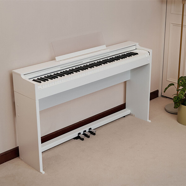 Music City – Tổng Kho Piano, Guitar, Organ | Dịch Vụ Giáo Dục Âm Nhạc