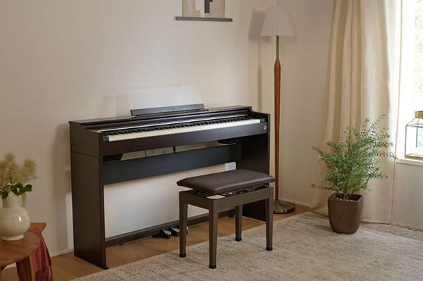 Music City – Tổng Kho Piano, Guitar, Organ | Dịch Vụ Giáo Dục Âm Nhạc