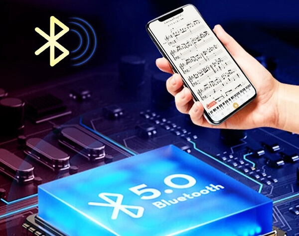 Music City – Tổng Kho Piano, Guitar, Organ | Dịch Vụ Giáo Dục Âm Nhạc