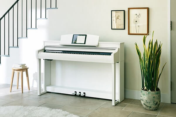 Music City – Tổng Kho Piano, Guitar, Organ | Dịch Vụ Giáo Dục Âm Nhạc