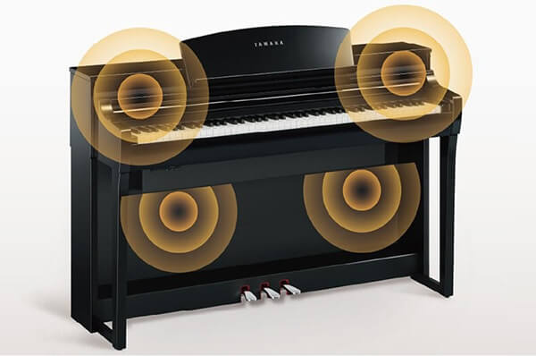 Music City – Tổng Kho Piano, Guitar, Organ | Dịch Vụ Giáo Dục Âm Nhạc