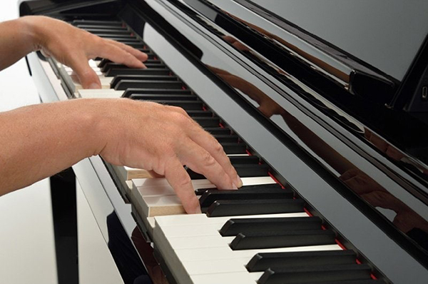 Music City – Tổng Kho Piano, Guitar, Organ | Dịch Vụ Giáo Dục Âm Nhạc