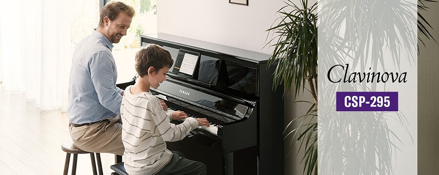 Music City – Tổng Kho Piano, Guitar, Organ | Dịch Vụ Giáo Dục Âm Nhạc