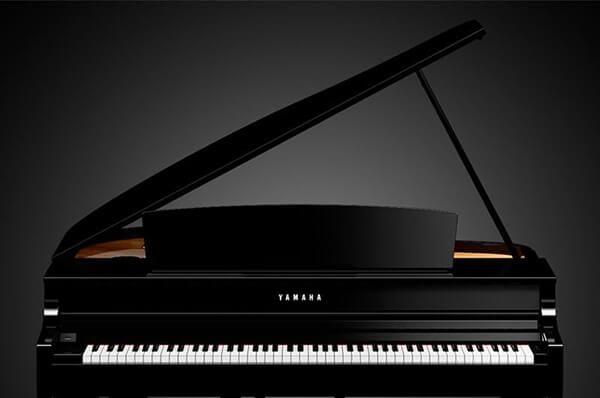 Music City – Tổng Kho Piano, Guitar, Organ | Dịch Vụ Giáo Dục Âm Nhạc