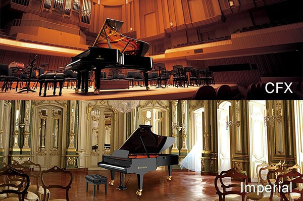 Music City – Tổng Kho Piano, Guitar, Organ | Dịch Vụ Giáo Dục Âm Nhạc