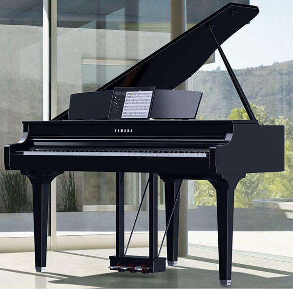 Music City – Tổng Kho Piano, Guitar, Organ | Dịch Vụ Giáo Dục Âm Nhạc
