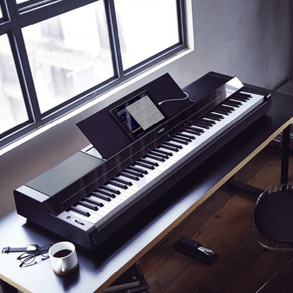 Music City – Tổng Kho Piano, Guitar, Organ | Dịch Vụ Giáo Dục Âm Nhạc