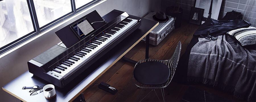 Music City – Tổng Kho Piano, Guitar, Organ | Dịch Vụ Giáo Dục Âm Nhạc