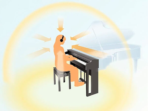 Music City – Tổng Kho Piano, Guitar, Organ | Dịch Vụ Giáo Dục Âm Nhạc
