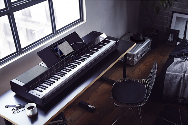 Music City – Tổng Kho Piano, Guitar, Organ | Dịch Vụ Giáo Dục Âm Nhạc
