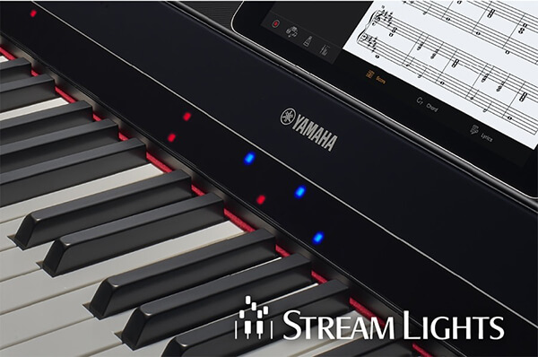 Music City – Tổng Kho Piano, Guitar, Organ | Dịch Vụ Giáo Dục Âm Nhạc