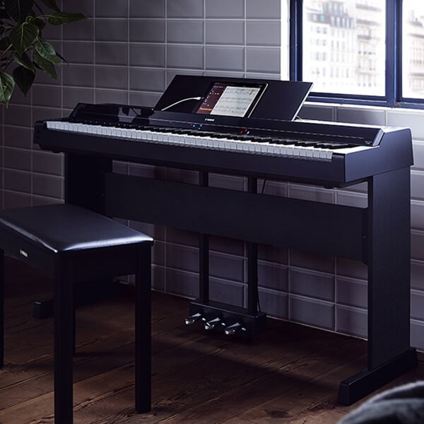 Music City – Tổng Kho Piano, Guitar, Organ | Dịch Vụ Giáo Dục Âm Nhạc