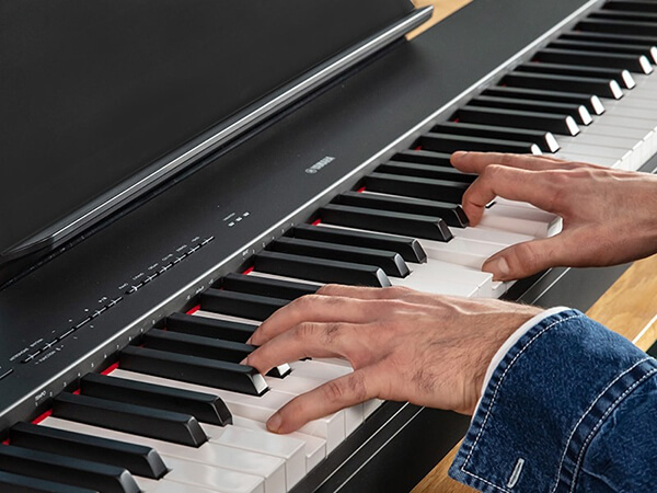 Music City – Tổng Kho Piano, Guitar, Organ | Dịch Vụ Giáo Dục Âm Nhạc