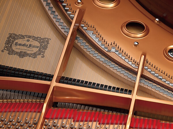 Music City – Tổng Kho Piano, Guitar, Organ | Dịch Vụ Giáo Dục Âm Nhạc