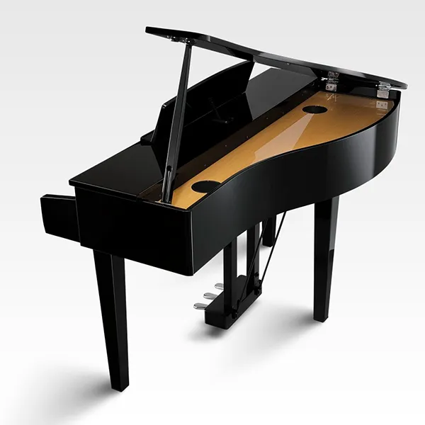 Music City – Tổng Kho Piano, Guitar, Organ | Dịch Vụ Giáo Dục Âm Nhạc